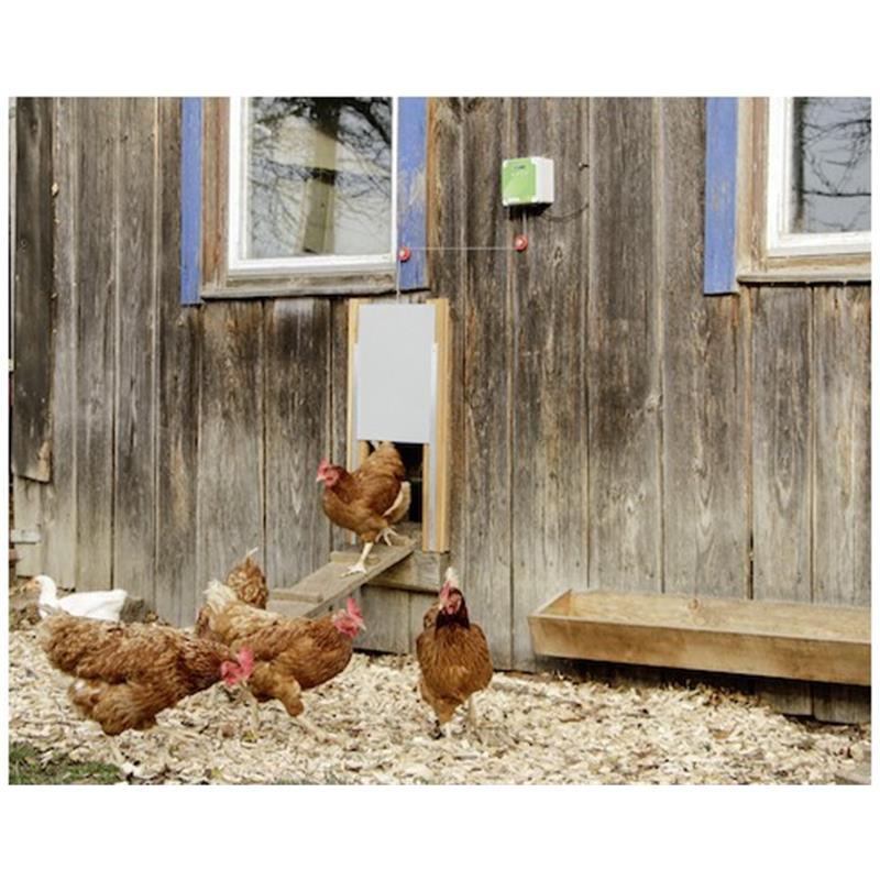 Avtomatika za vrata za kokoši