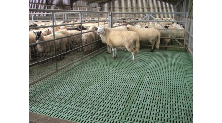Kunststoffroste-für-Schafe-und-Ziegen