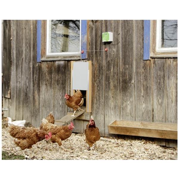 Avtomatika za vrata za kokoši